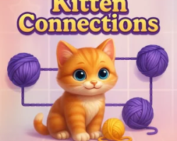 Kitten Connections